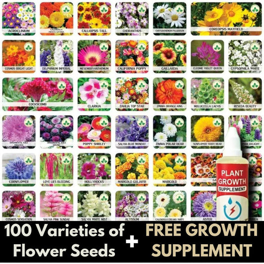 100 Varieties of Flower Seeds