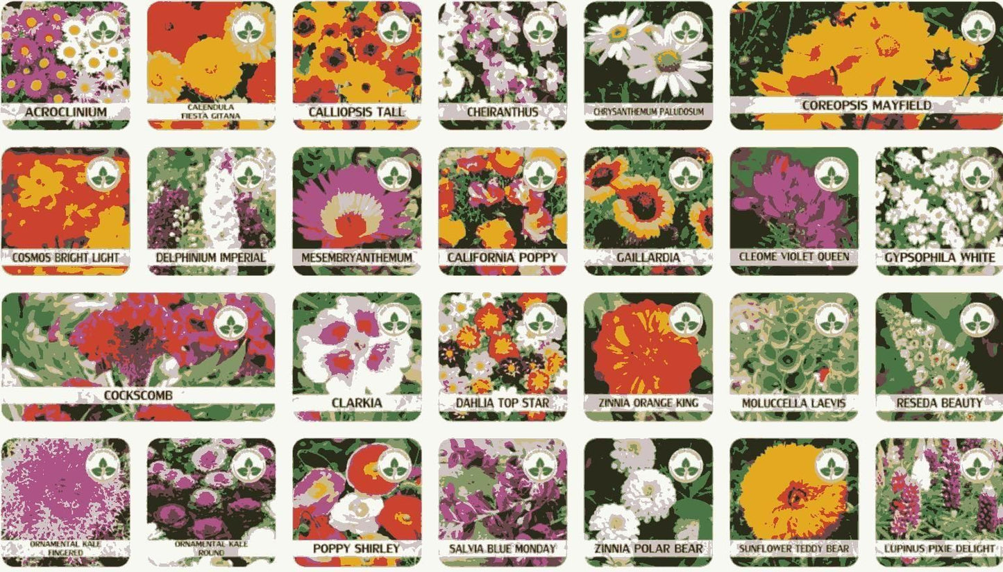 100 Varieties of Flower Seeds